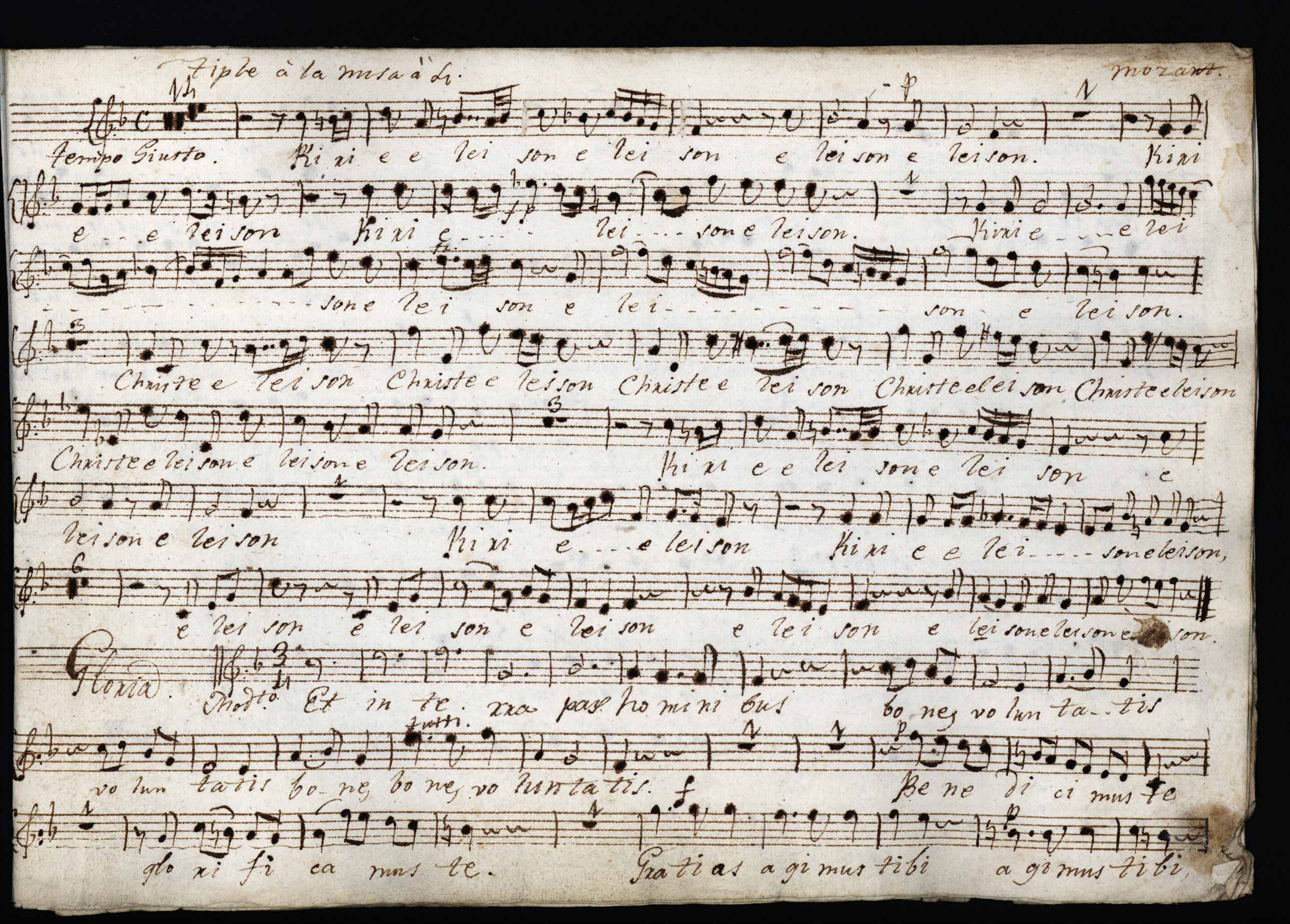 Médico Interacción Rizo 2.0. Mozart, Wolfgang Amadeus - Arantzazu