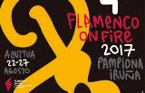 Flamenco on fire