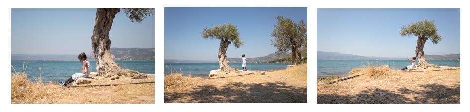 aegean shores