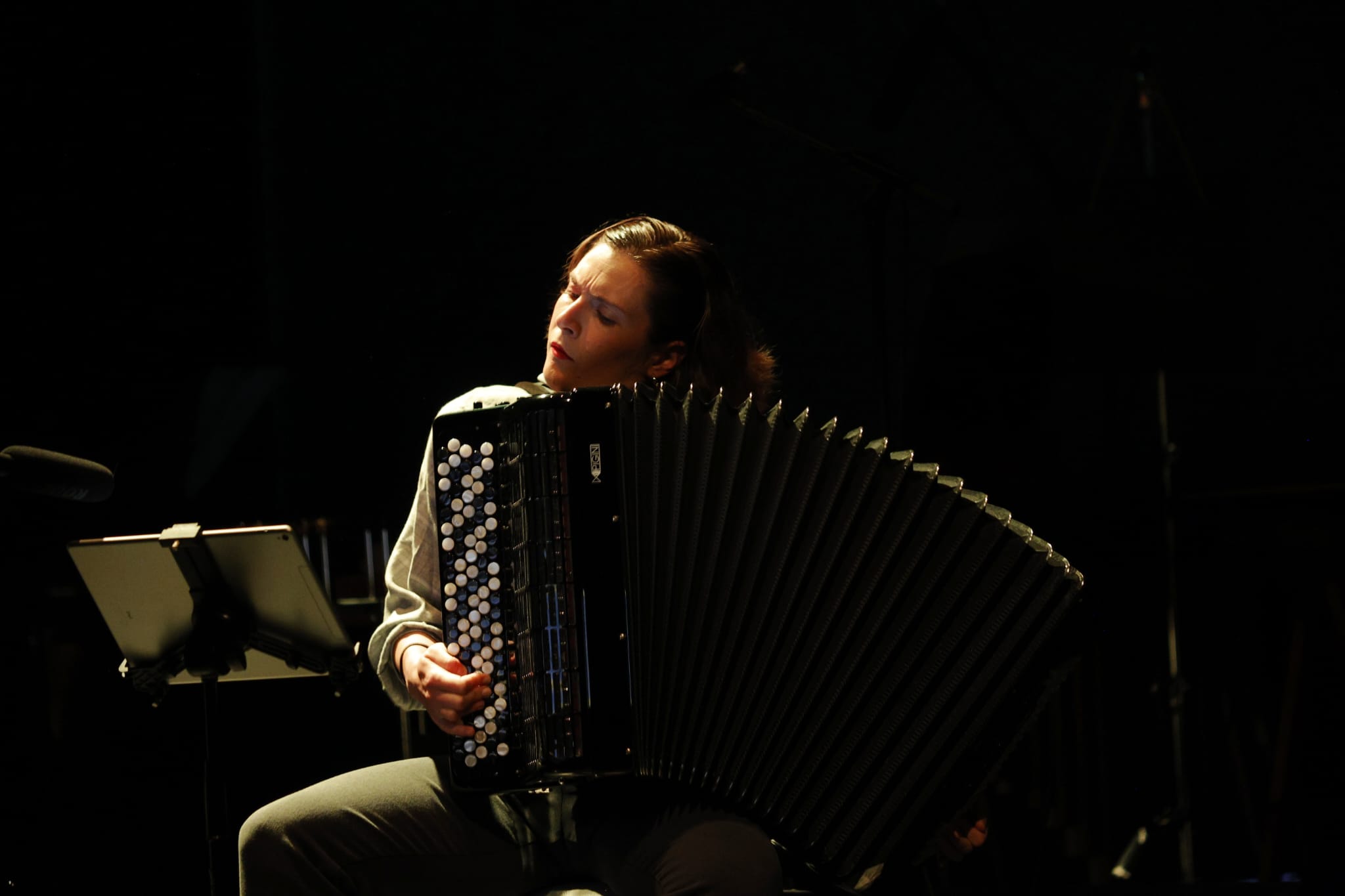 (C) MUSIKASTE - TRIO ZUKAN