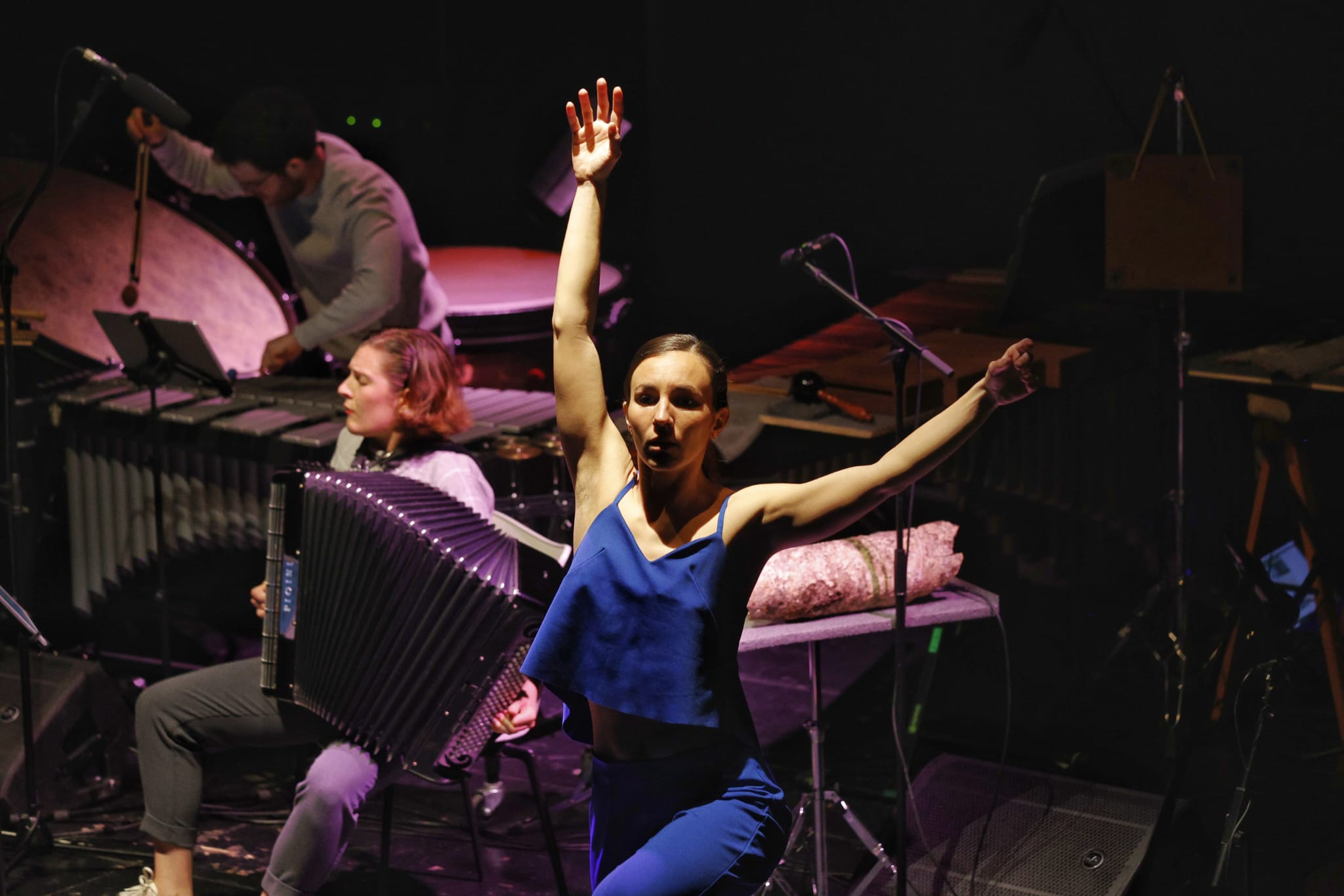 (C) MUSIKASTE - TRIO ZUKAN