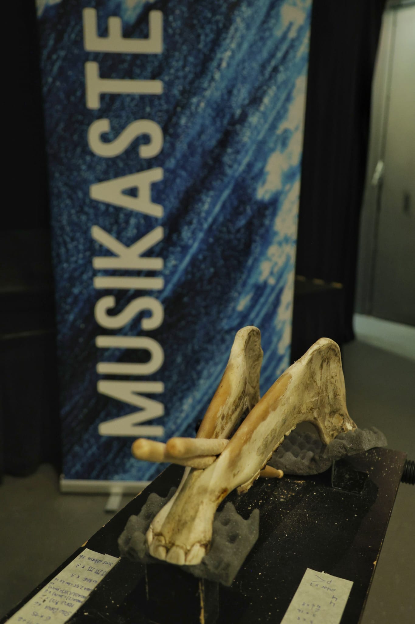 (C) MUSIKASTE - TRIO ZUKAN